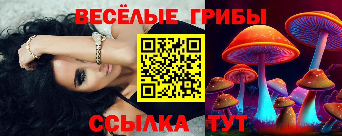 Кудрово  Псилоцибиновые грибы прущие грибы  закладки  Вход с VPN 